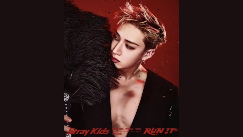 Stray Kids 2027 Tour Dates